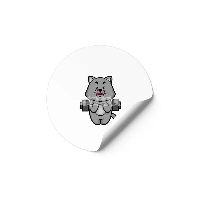 Cat at Biceps training with Barbell Etiket