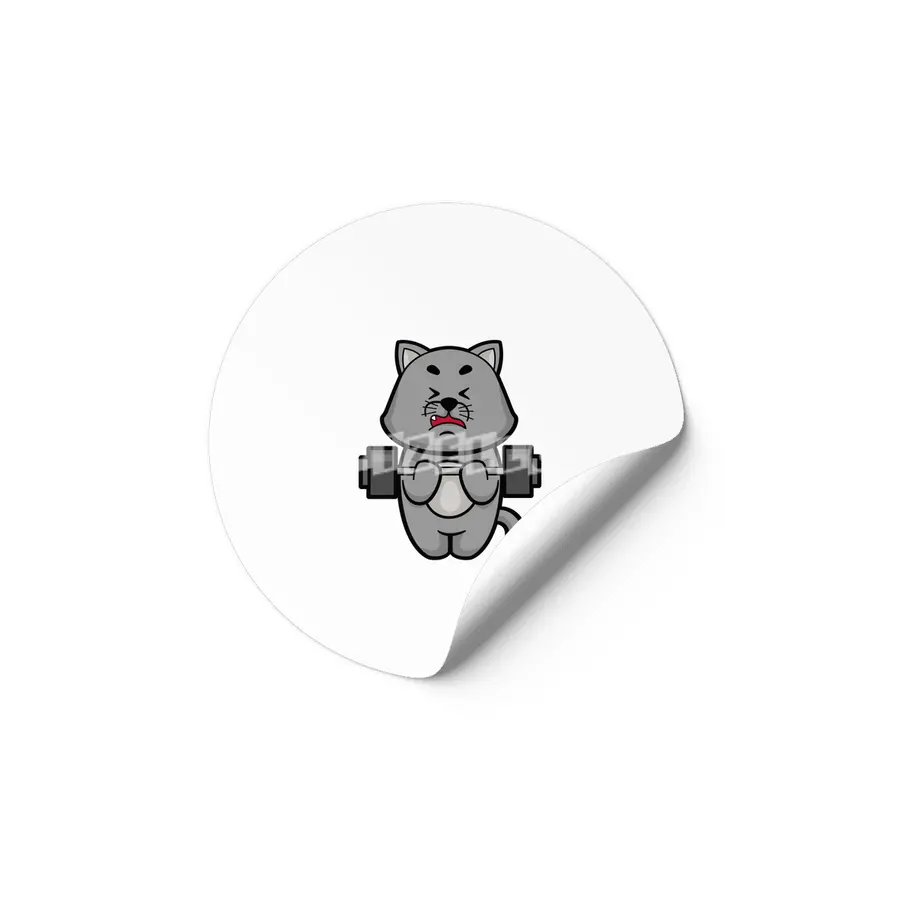 Cat at Biceps training with Barbell Etiket