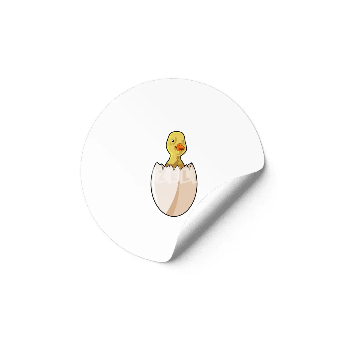 Duck with Egg shell Etiket