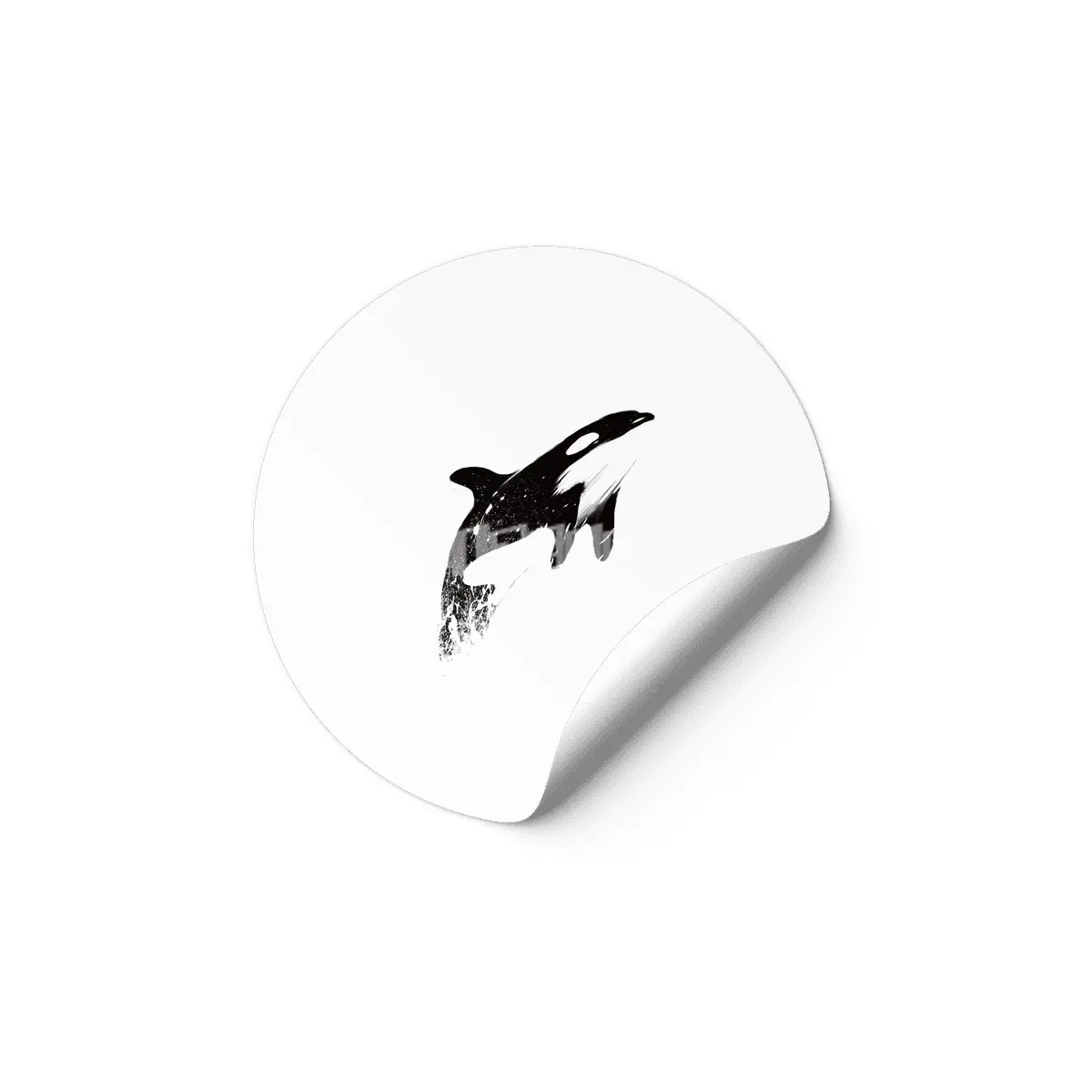 orcas can fly Etiket