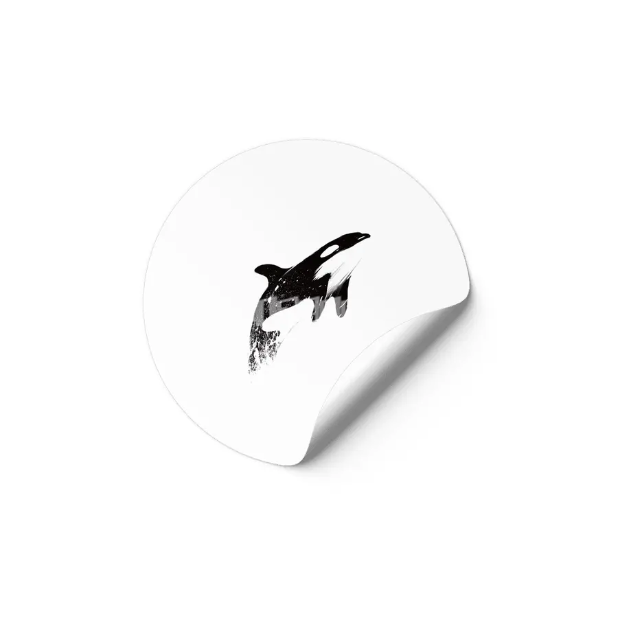 orcas can fly Etiket
