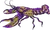 ethnic silhouette of lobster isolated