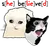 Crying Cat, also known as Schmuserkadser, refers to a series of photoshopped images of cats with teary, glassy eyes to appear as though they are sad. Sbeve meme cat can relate to 14 year old girls as she believed.