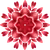 Abstract red floral mandala created from a watercolor drawing of rose petals.
