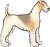 Fox Terrier, work from "Dogs" series. 