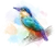 Colorful watercolor Kingfish bird