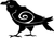 Ravens and crows are compelled to seek out the truth in themselves and others, even when it hurts. Like their attraction to shiny objects, they simply can't resist! Crow people are very insightful, and try their best to look beyond the obvious. 