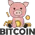 The pig saves the Bitcoin and keeps it. The digital gold increases in value in the long term, which is why the piggy bank holds this coin for a long time.