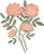 Briar rose illustration