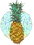 The pineapple, this delicious fruit looks so good you'll feel like eating your shirt.  The pineapple is also a symbol of hospitality. 