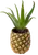 Pineapple Pot