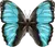 This digital drawing showcases the beauty and elegance of one of nature's
most stunning creatures - the Blue Morpho butterfly. The artwork captures the
essence of the butterfly's iridescent blue wings. The background of the
artwork is kept simple, with a muted white color that contrasts the vibrant blue
of the butterfly's wings. It is a perfect addition to any entomology and insect art
lover's collection and a tribute to the awe-inspiring beauty of the natural world.