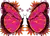 Pink and Orange Poka Dot Butterfly is full of great color and fun design. Great for anyone who loves butterflies, flowers and hot hot hot colors. Original design by Jan DeAngelis