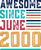 Awesome Since June 2000. Awesome since 2000, born in 2000, vintage 2000 shirt, 2000 birthday gift, June gift, June bday gift, happy birthday shirt, matching birthday.