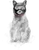 a cat wearing a mask