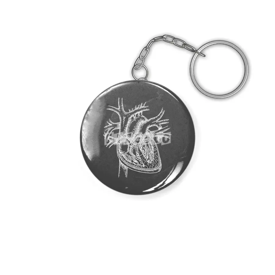 The Dissected Heart Sketch (White) Anahtarlık