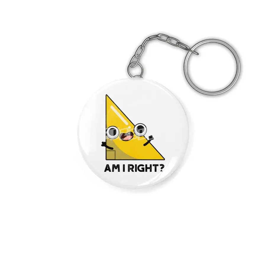 Am I Right Cute Geometry Math Pun Anahtarlık