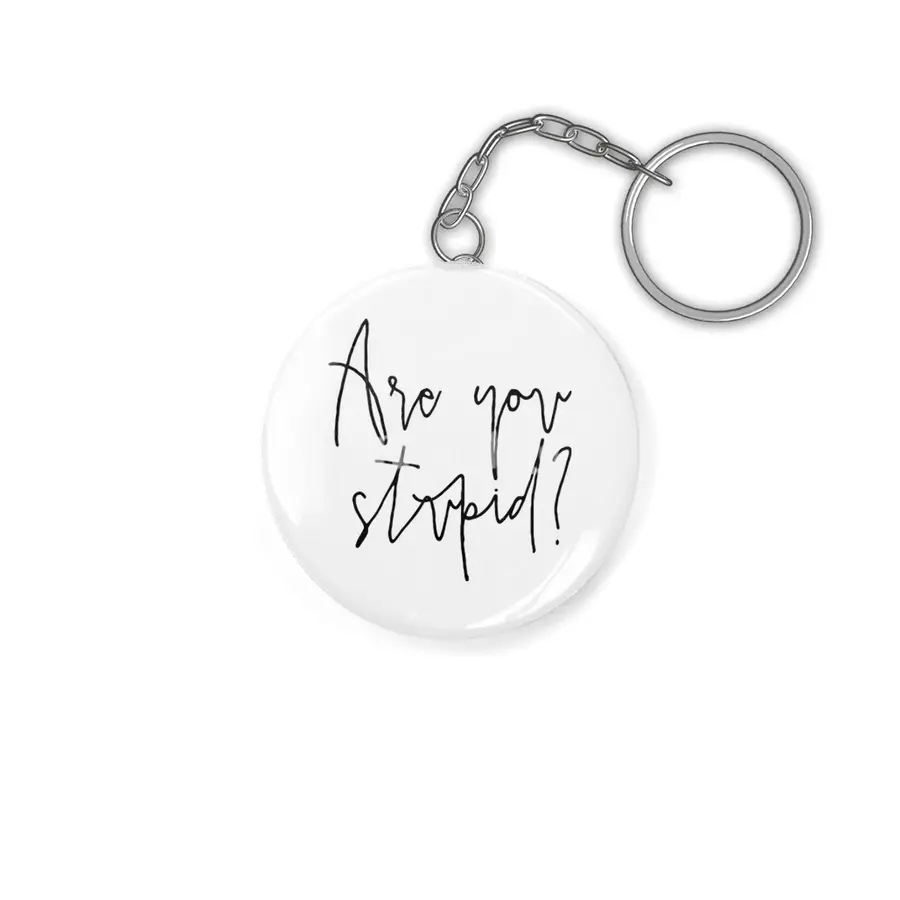 Are You Stupid? Anahtarlık