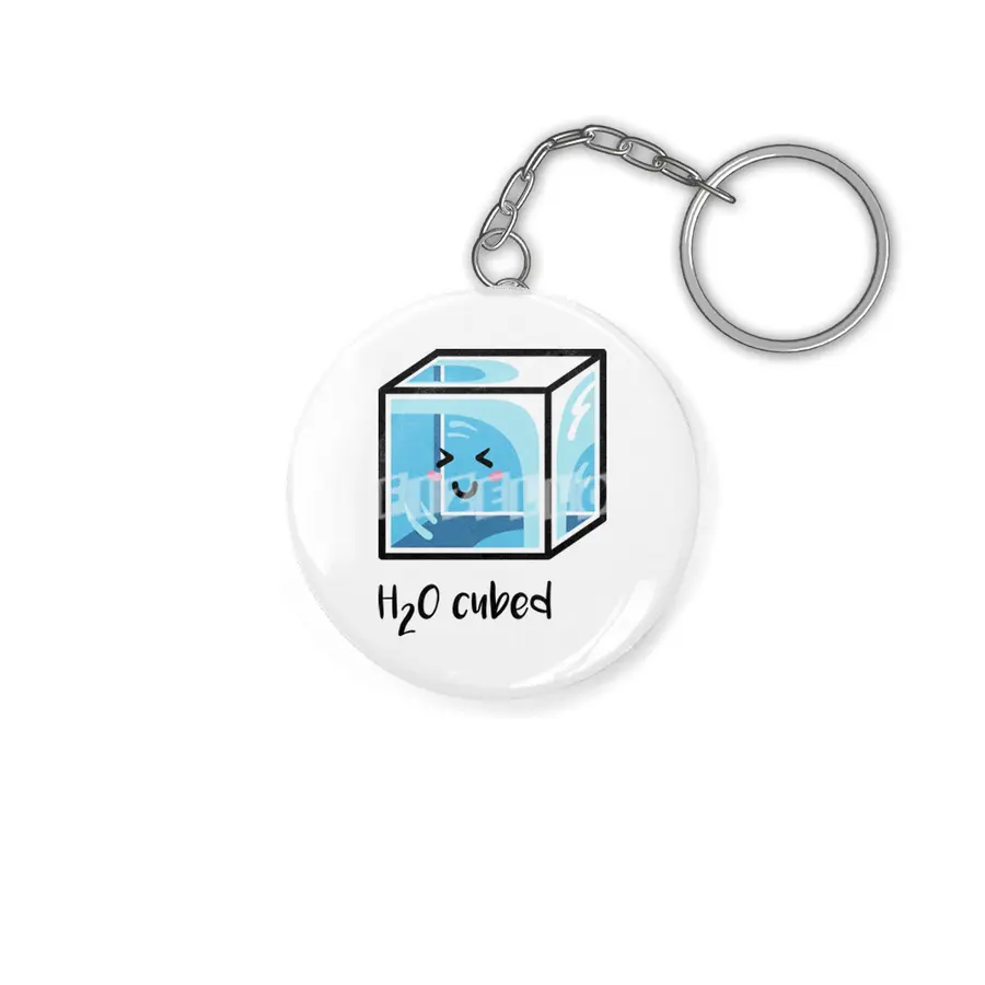 H2O Cubed Ice Block Chemistry Science Joke Anahtarlık