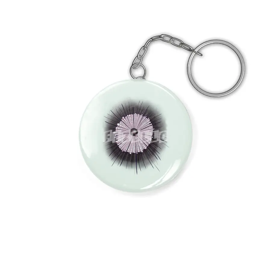 Heliozoa Microbe Microbiology Geek Digital Art Anahtarlık