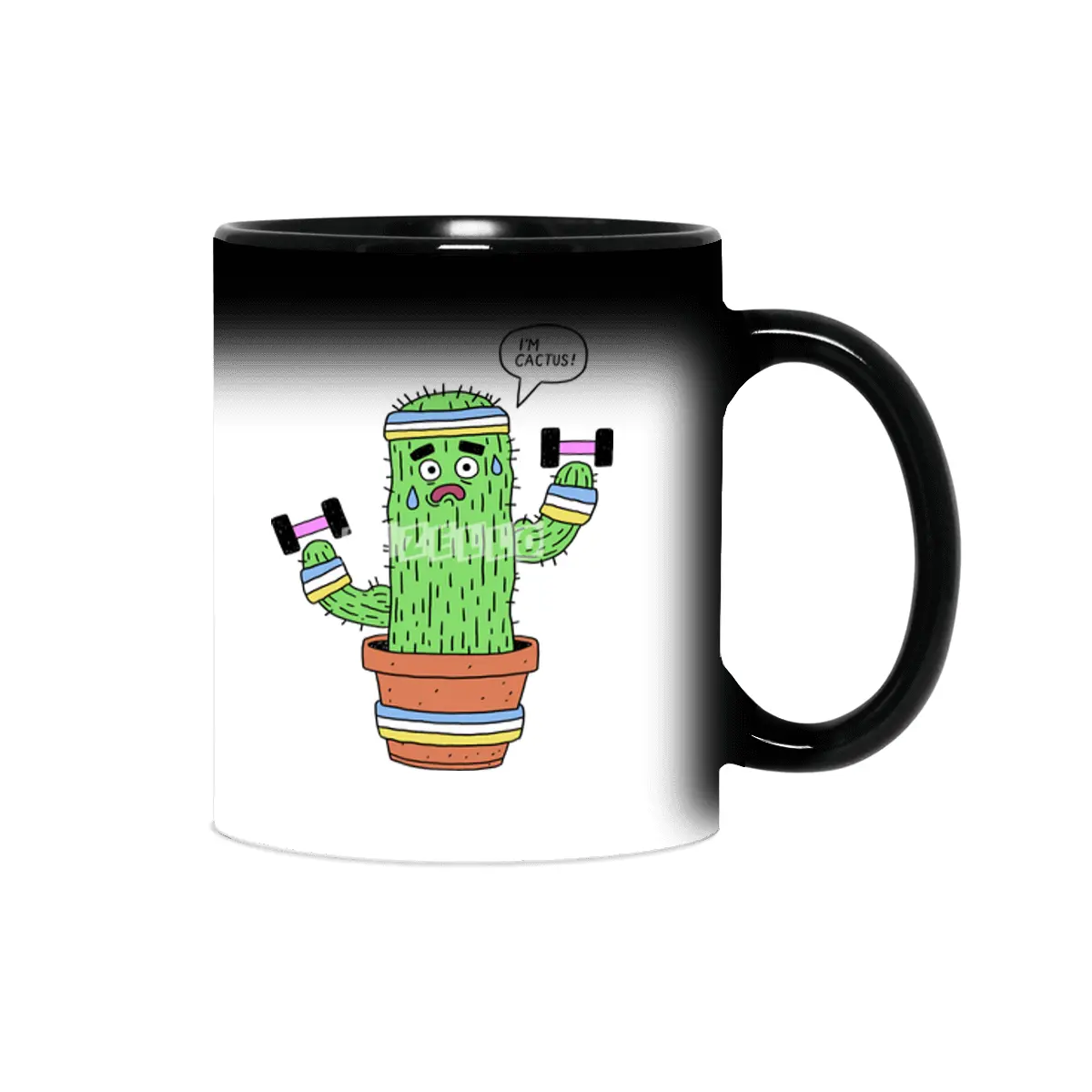 Cactus Cactus Sihirli Kupa