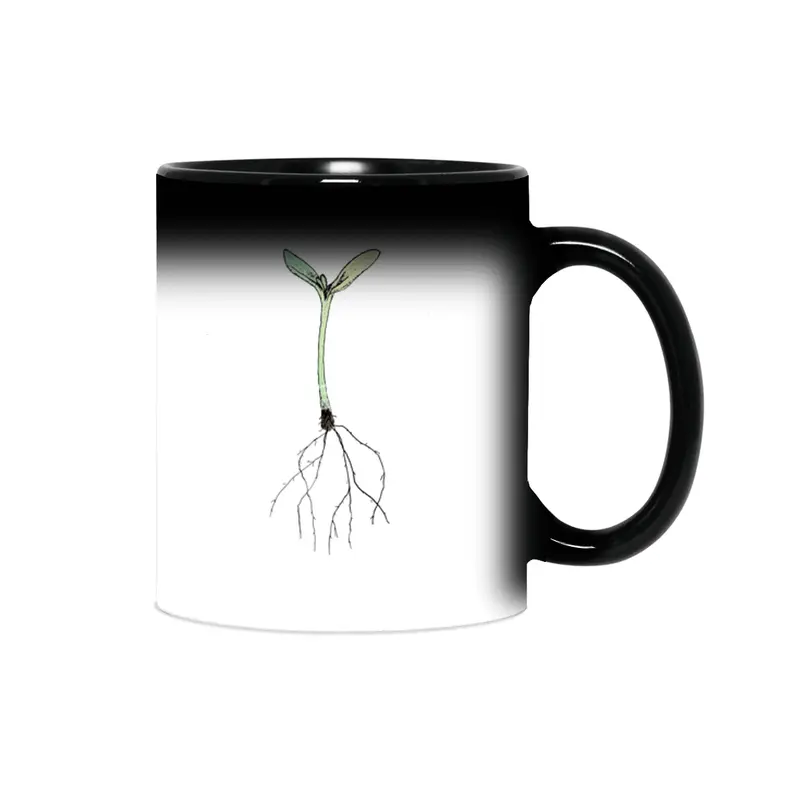 sprout Sihirli Kupa