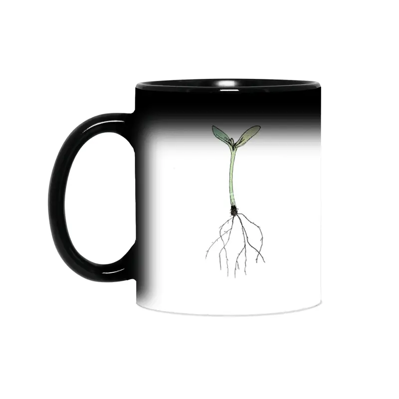 sprout Sihirli Kupa