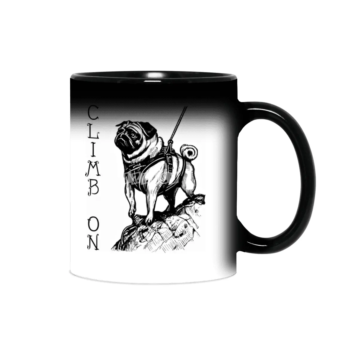 Climb On - Pug Sihirli Kupa