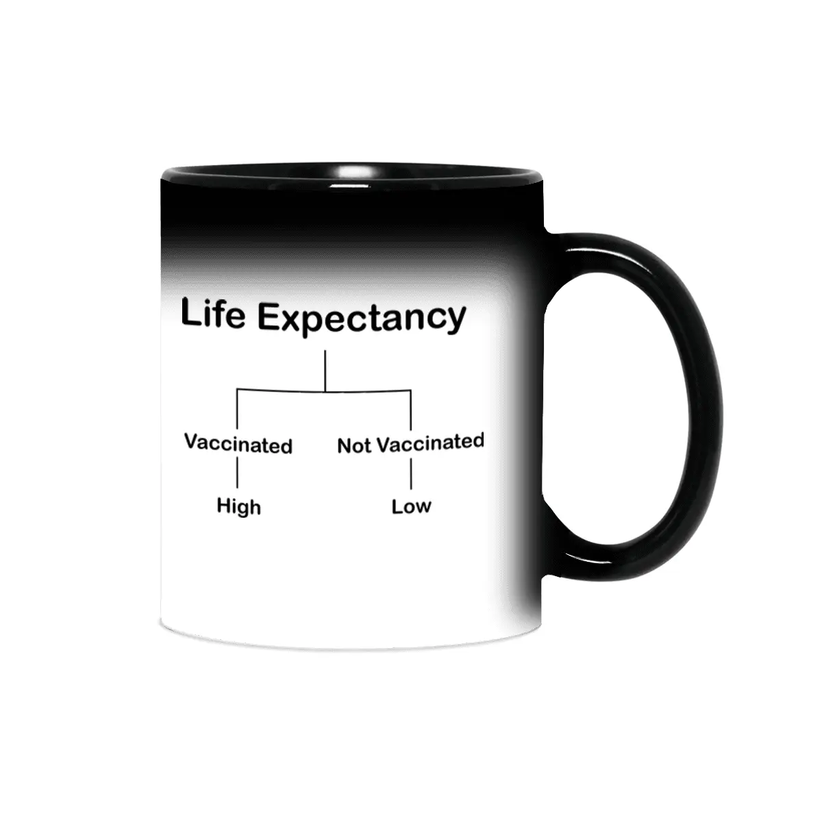 Life Expectancy Sihirli Kupa