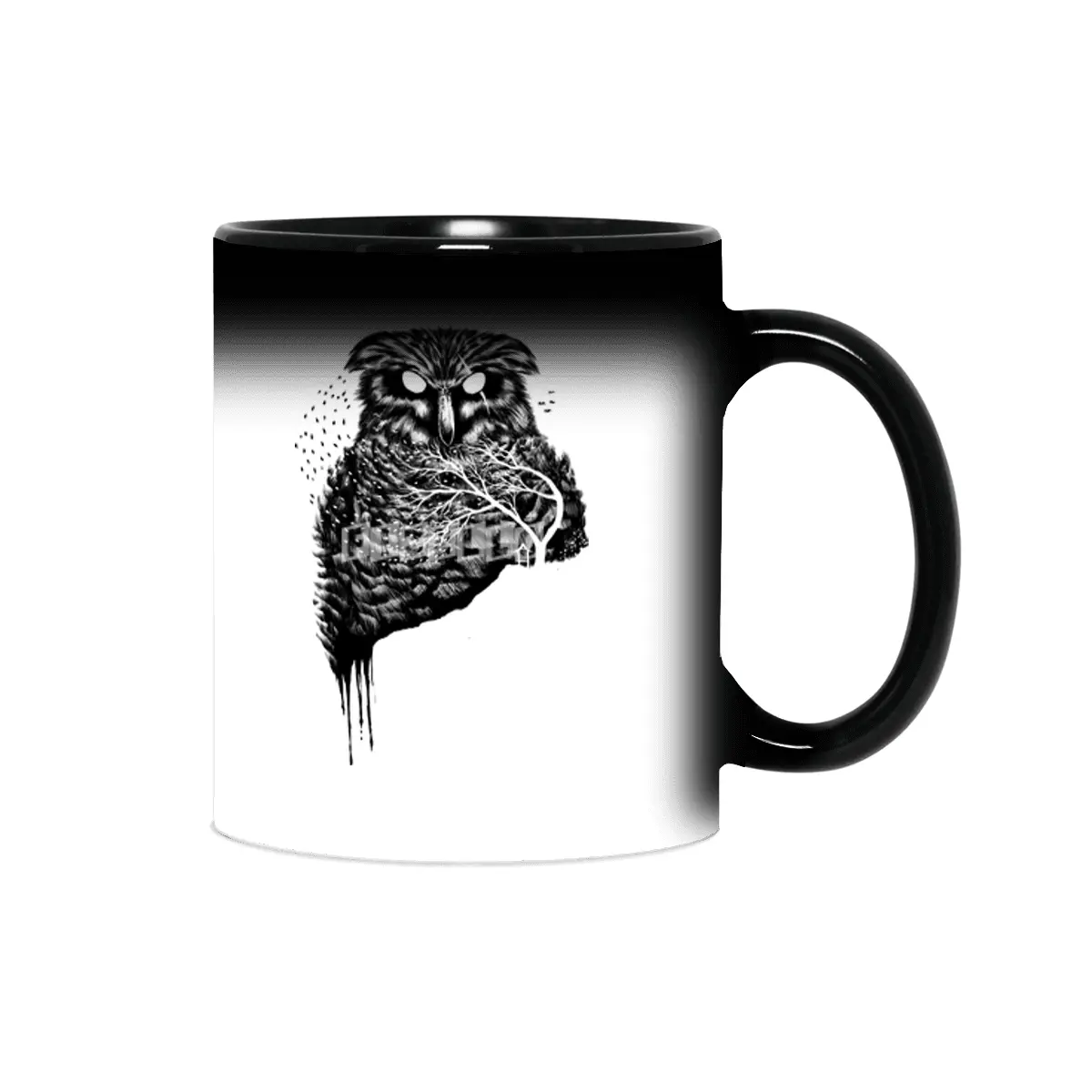 Autumn owl Sihirli Kupa
