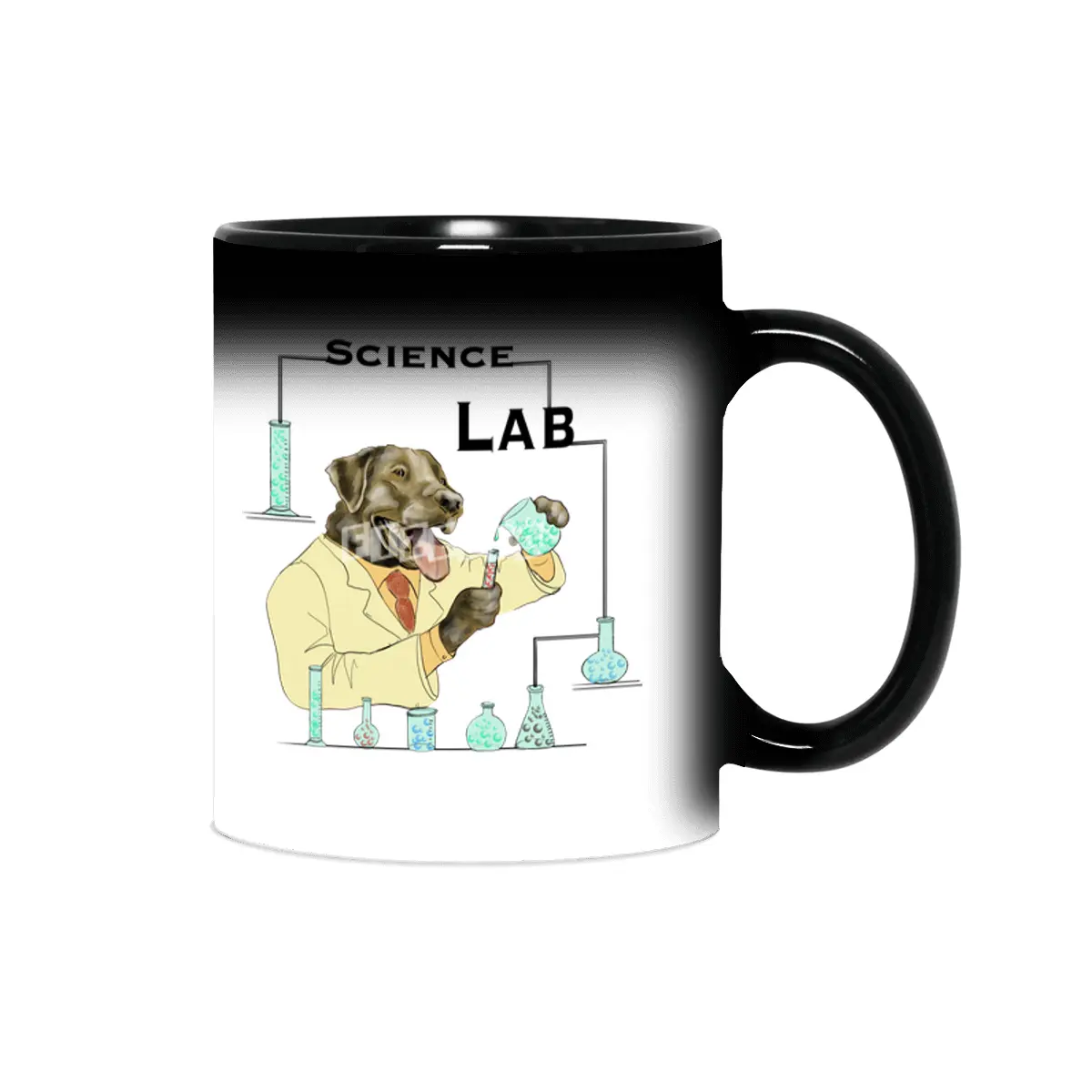 Science Lab Sihirli Kupa