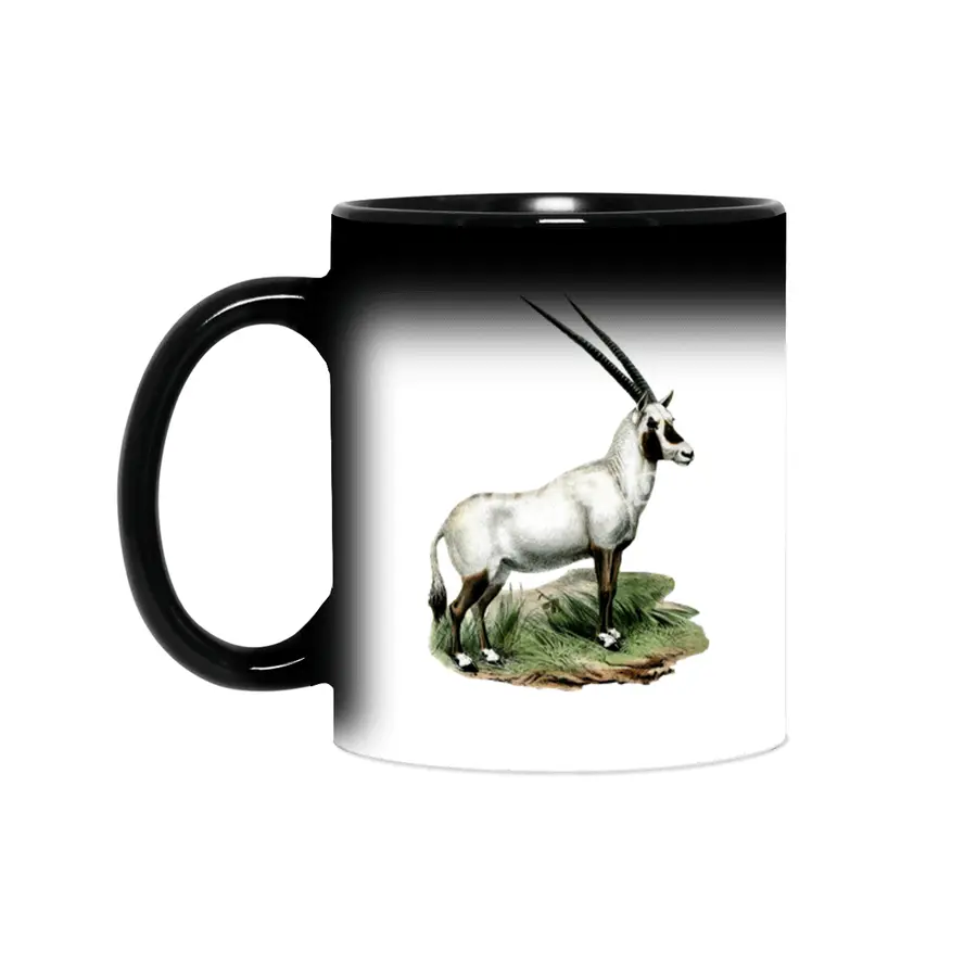 Arabian Oryx Sihirli Kupa