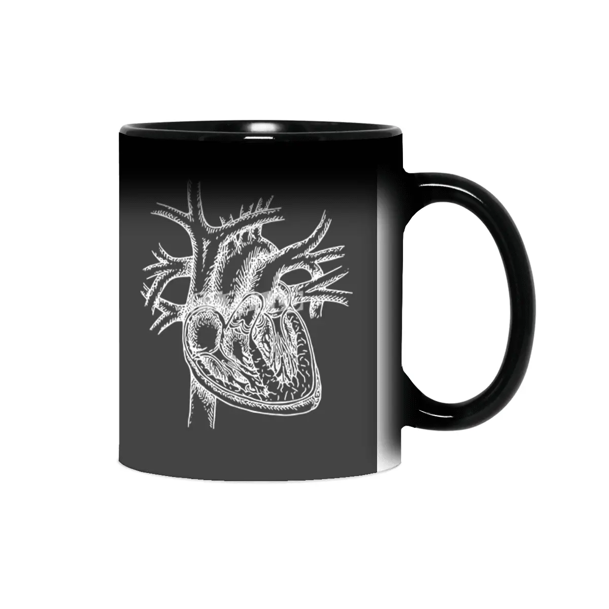The Dissected Heart Sketch (White) Sihirli Kupa