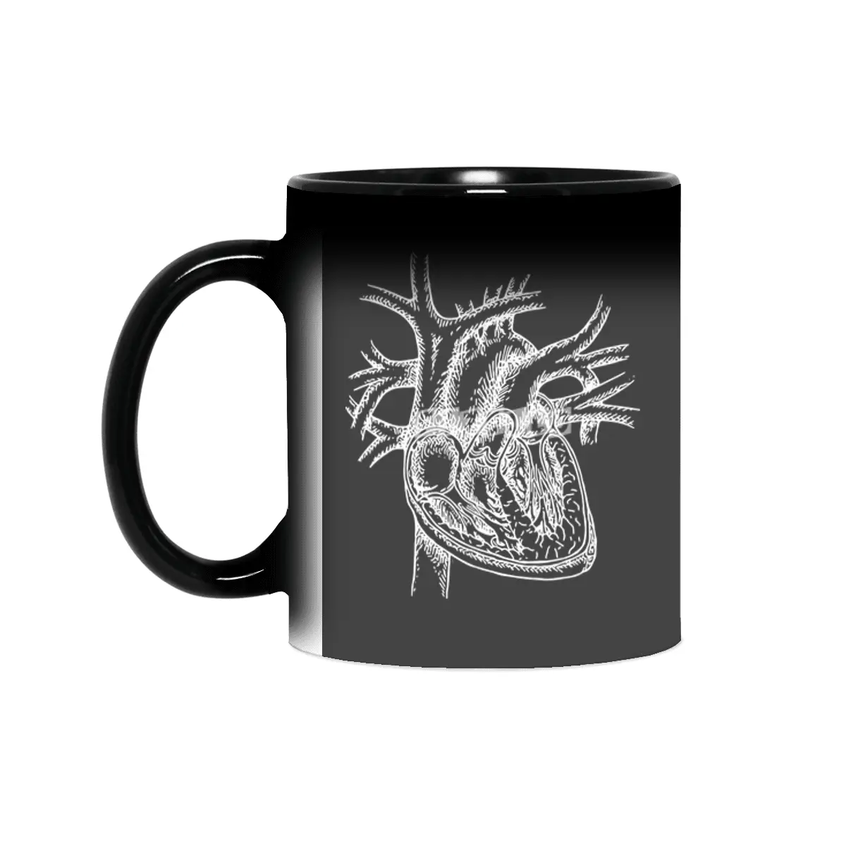 The Dissected Heart Sketch (White) Sihirli Kupa