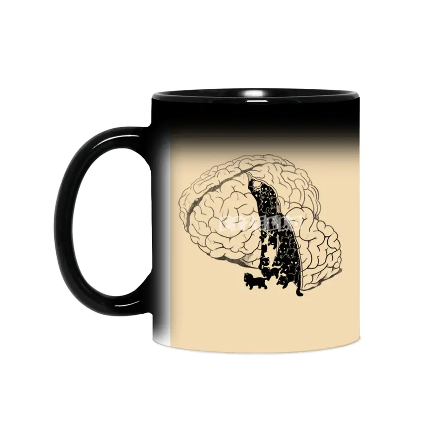 Brain Slice Cats! Sihirli Kupa