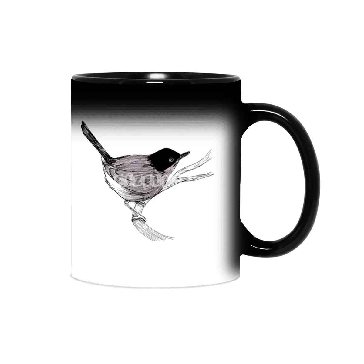 Blackcap Bird Sihirli Kupa