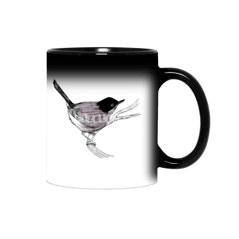 Blackcap Bird Sihirli Kupa