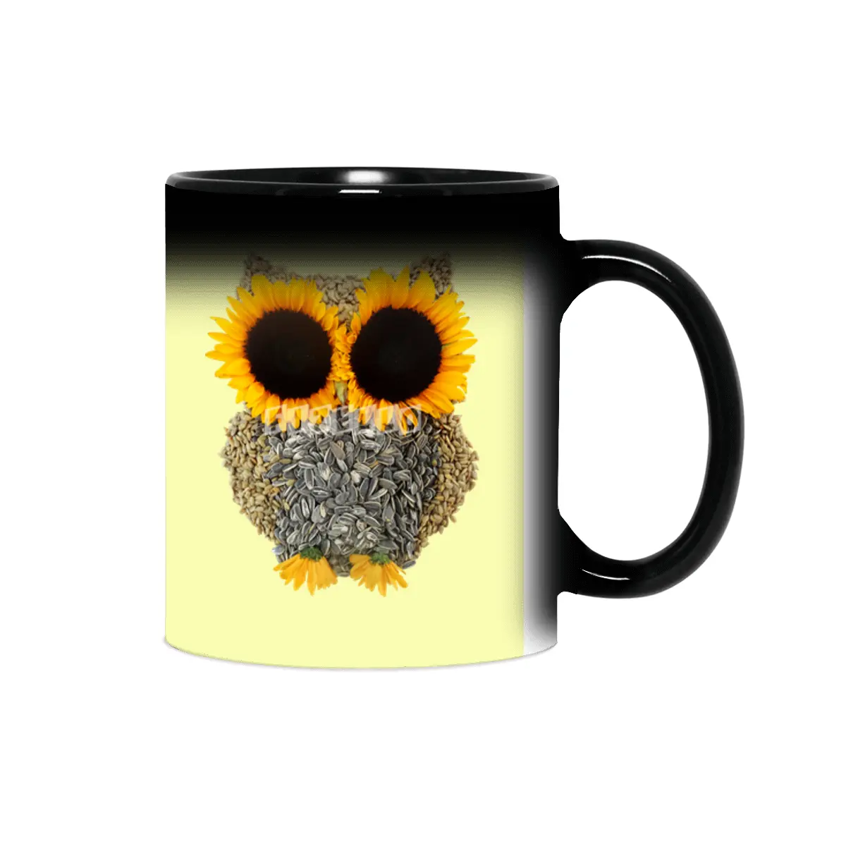 Hoot! Day Owl! Sihirli Kupa