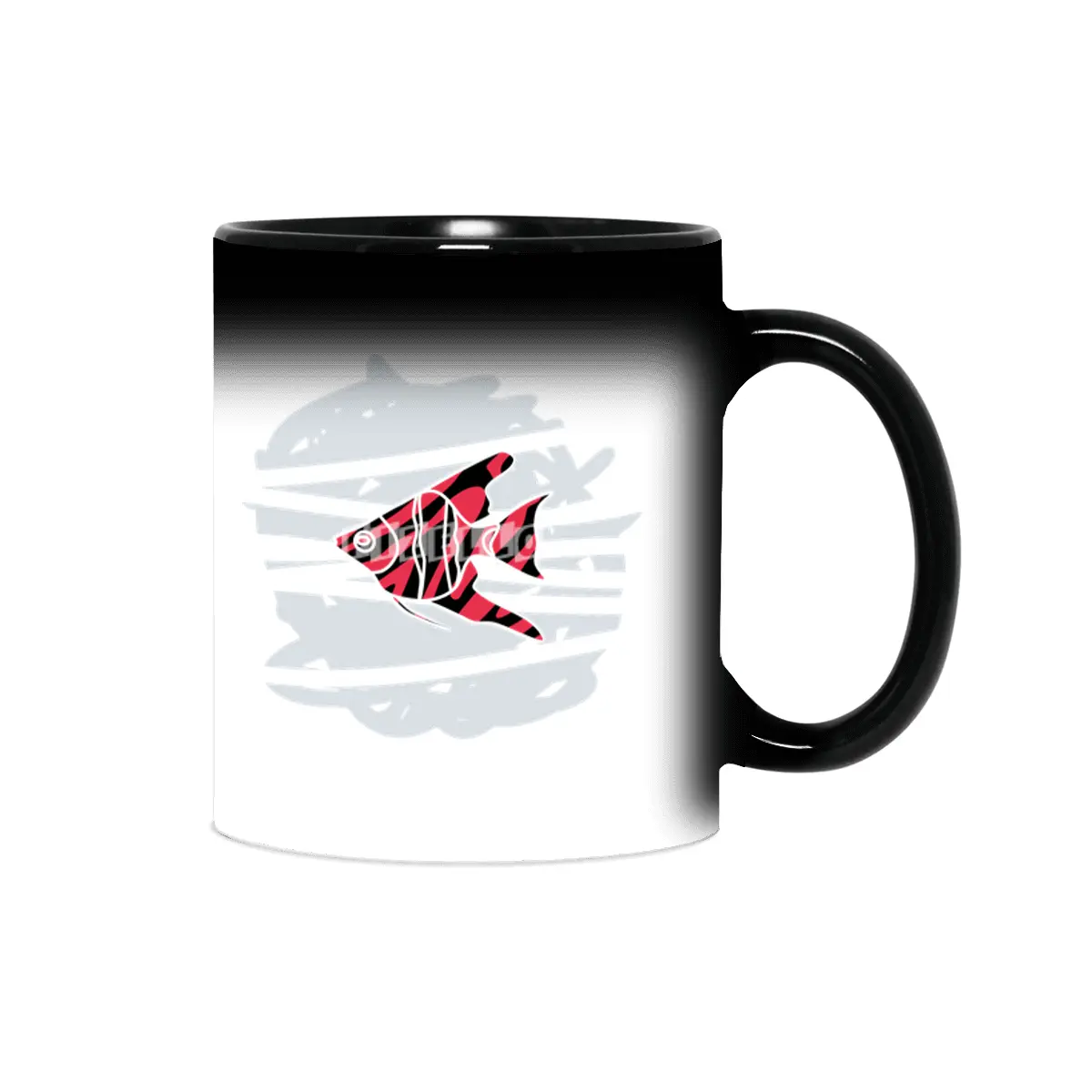 zebra red skin freshwater angelfish Sihirli Kupa