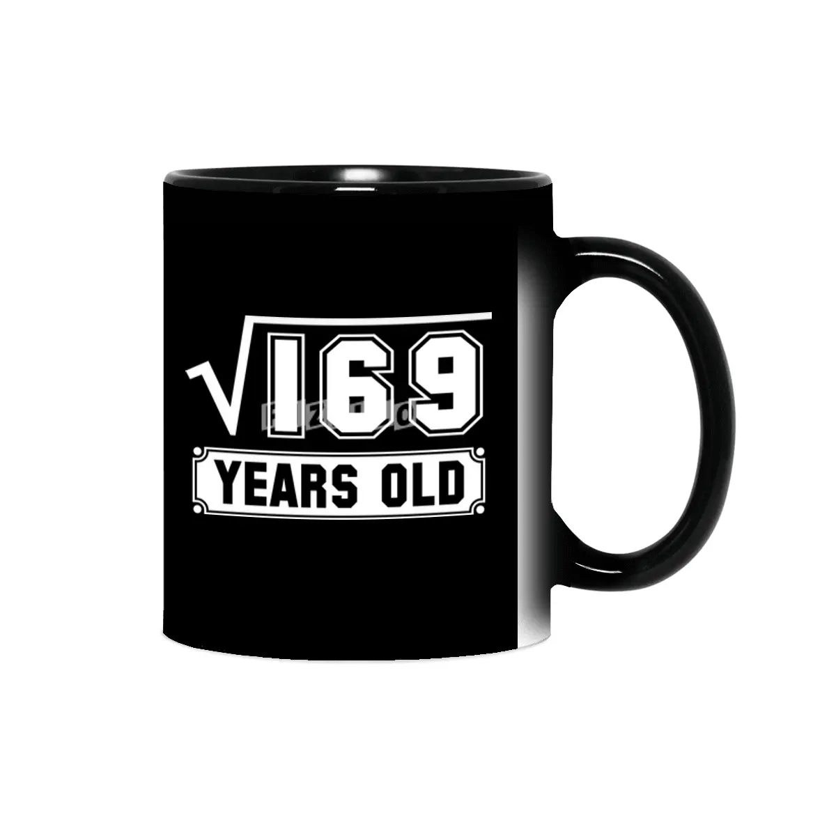 13th Birthday Gift Square Root of 169 13 Year Old Math Bday Present Sihirli Kupa