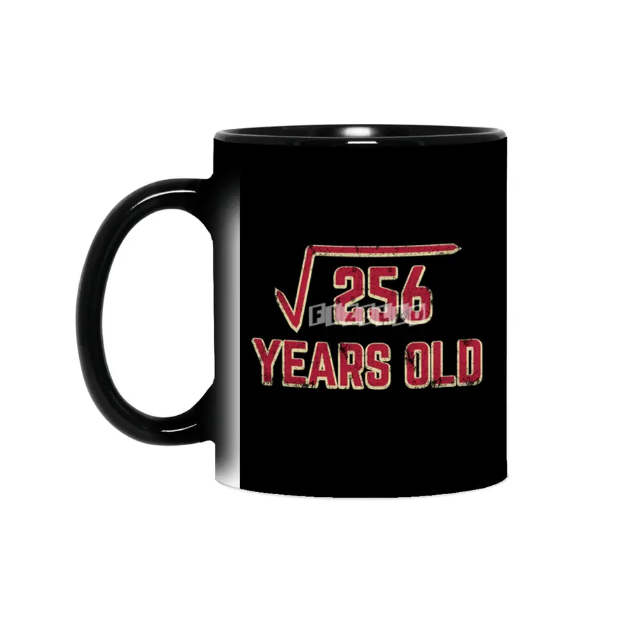 16th Birthday Gift Square Root of 256 Sihirli Kupa