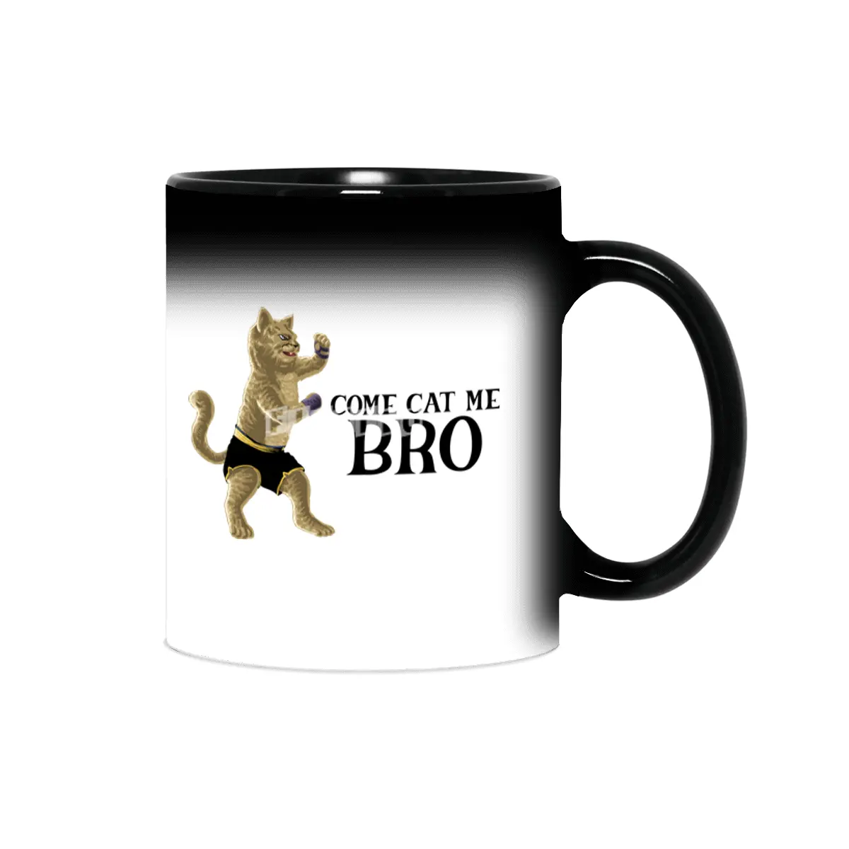 Come Cat Me Bro Cool Boxing Cat Punching International Cat Day Gift for Cat Lovers Sihirli Kupa
