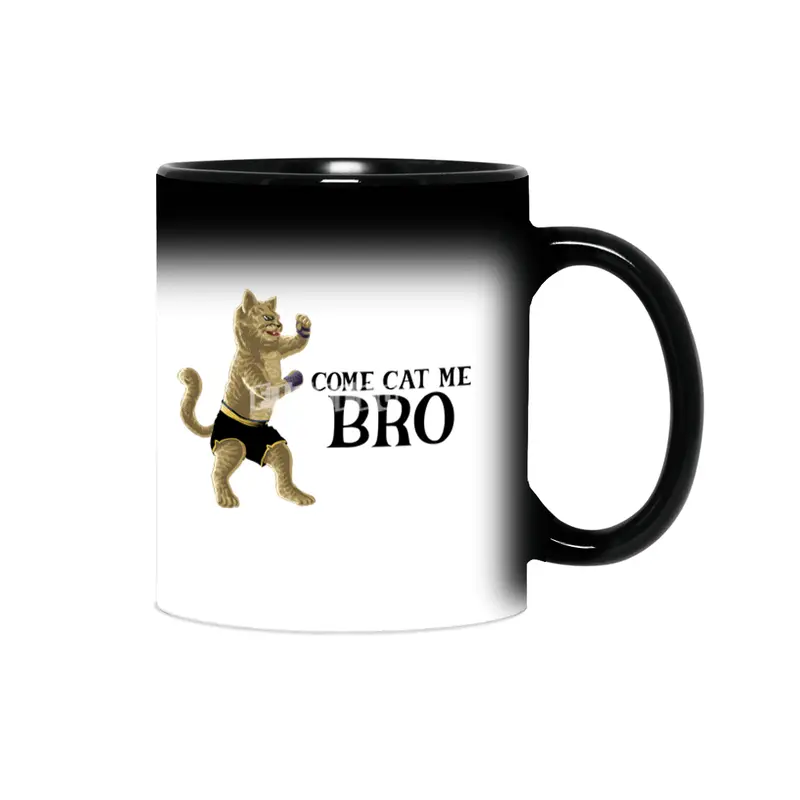 Come Cat Me Bro Cool Boxing Cat Punching International Cat Day Gift for Cat Lovers Sihirli Kupa