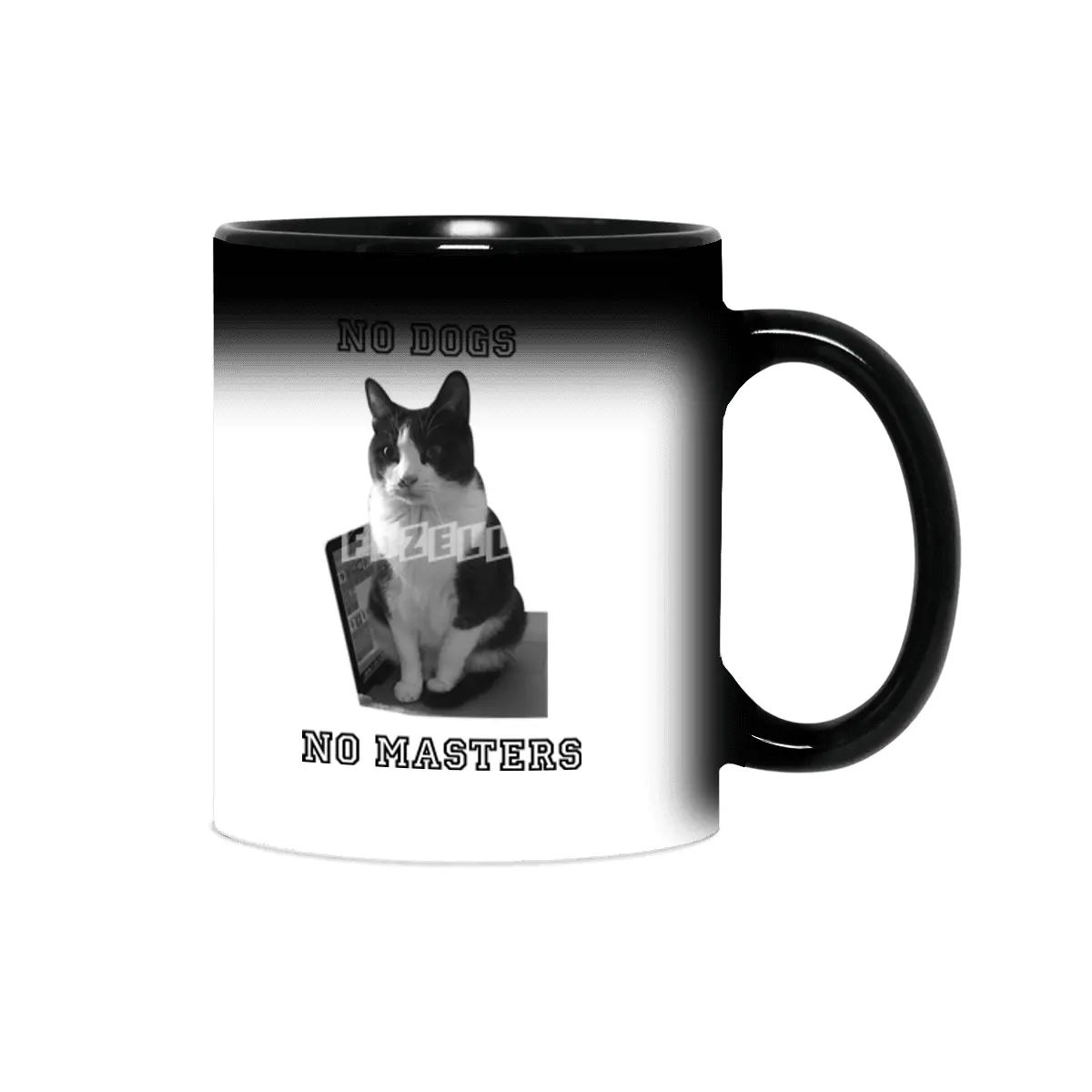 No Dogs No Masters Sihirli Kupa