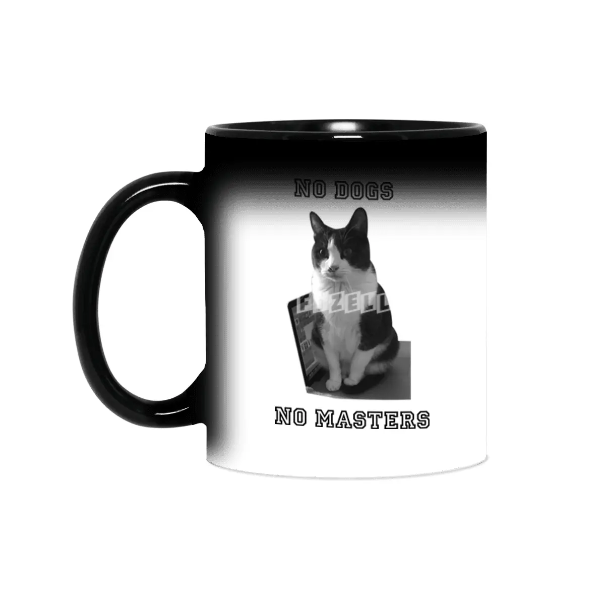No Dogs No Masters Sihirli Kupa