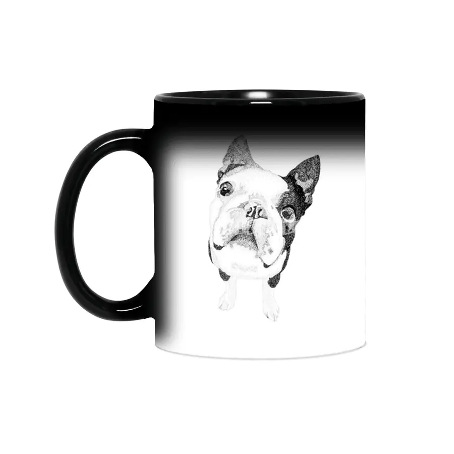 Boston Terrier Sihirli Kupa