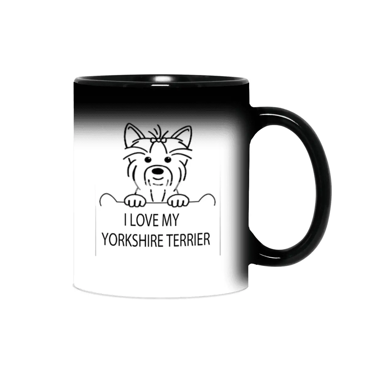 Yorkshire Terrier Sihirli Kupa