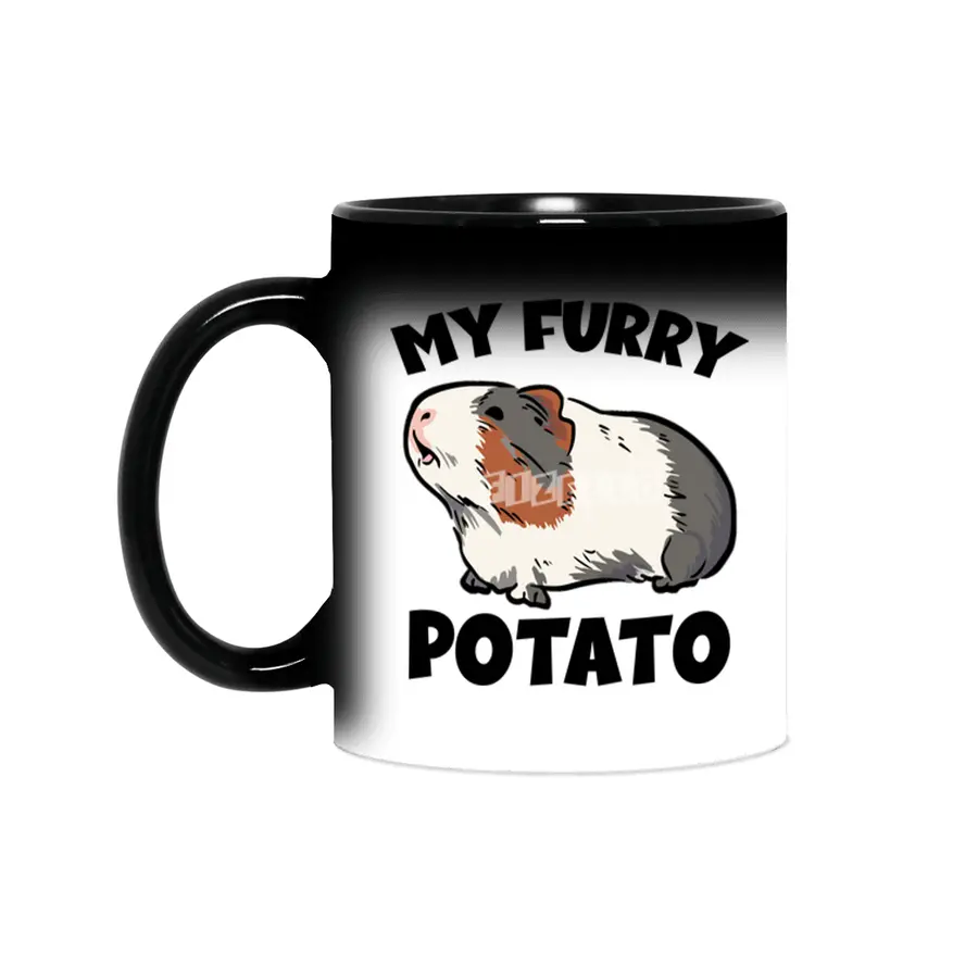 My furry potato guinea pig Sihirli Kupa