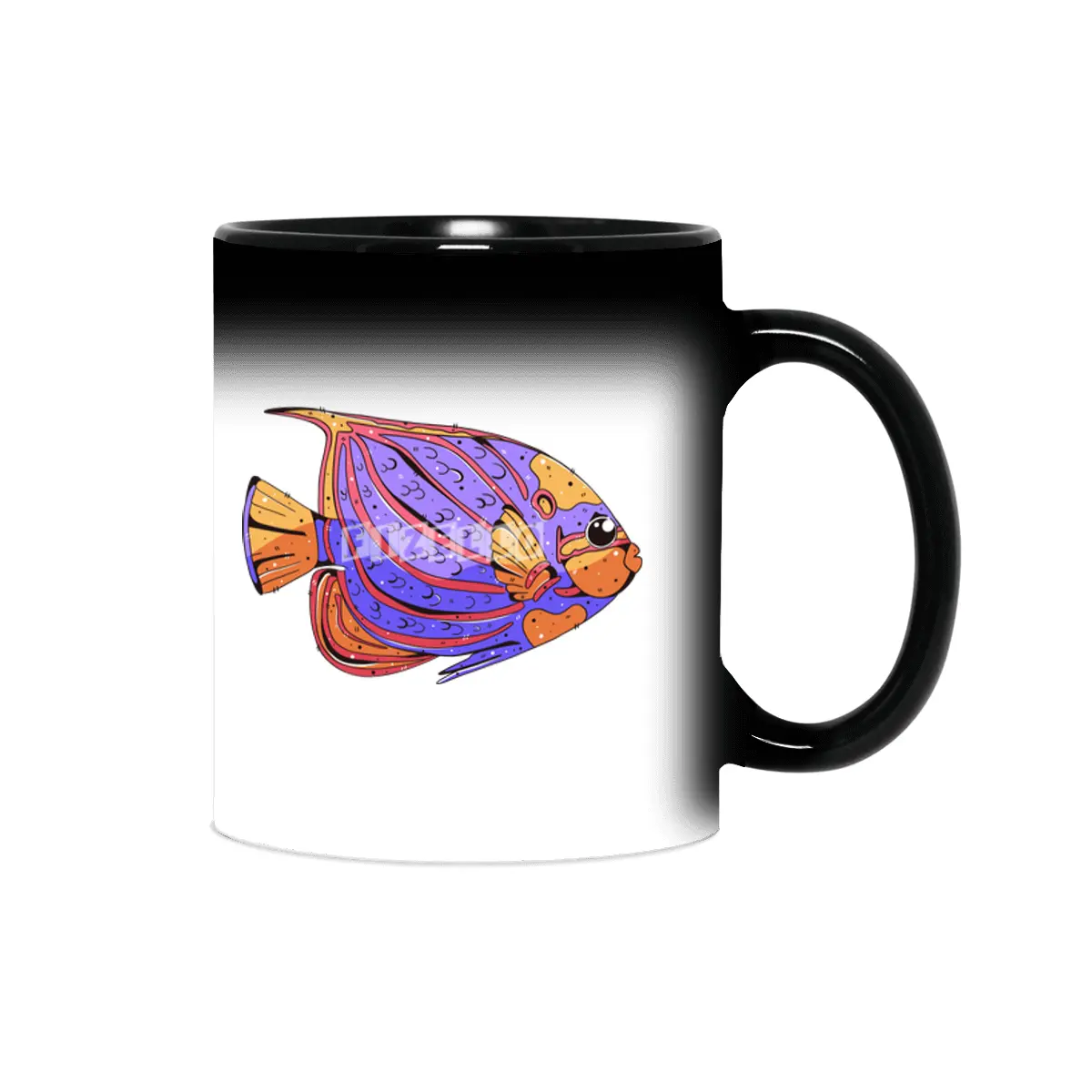 Bluering Angelfish Sihirli Kupa