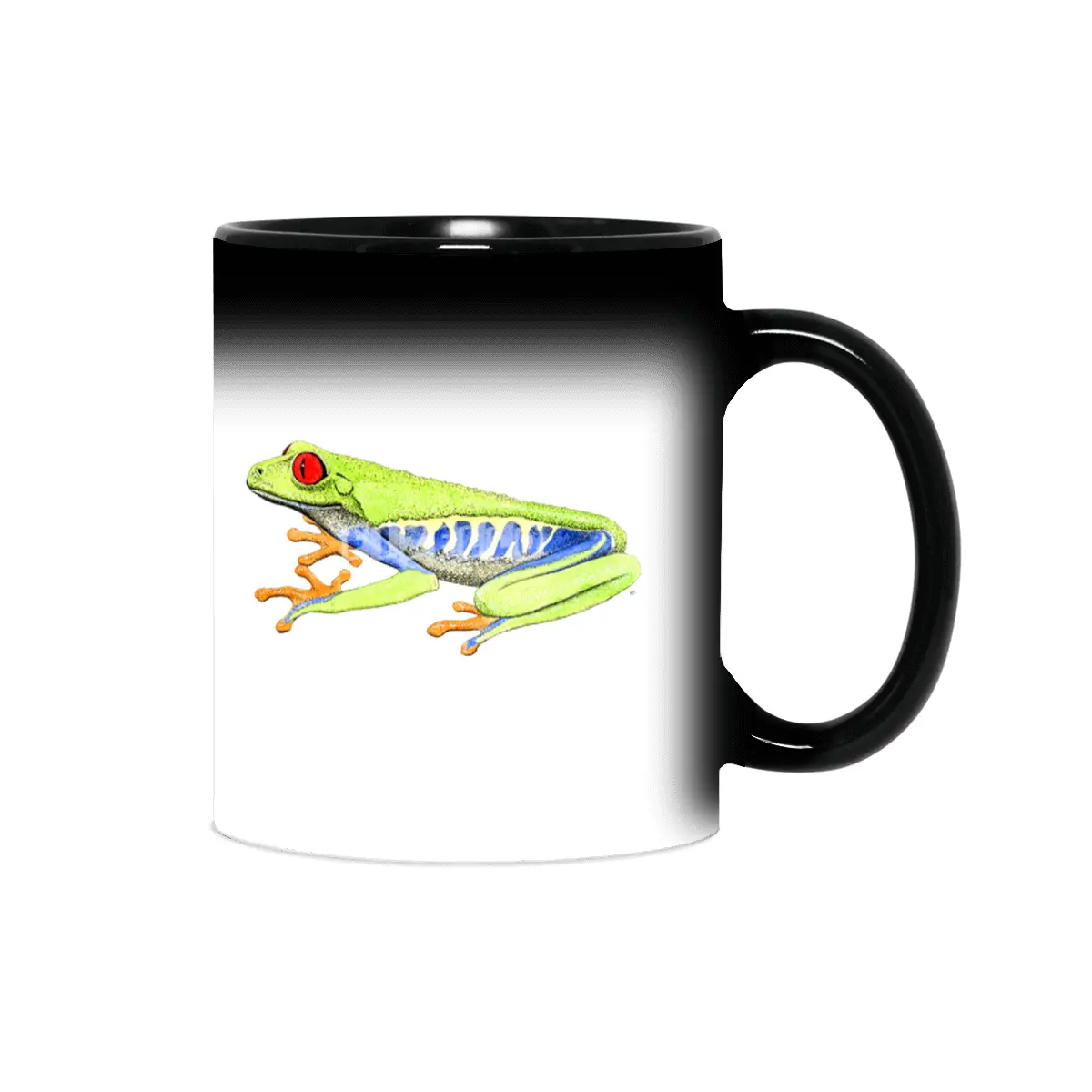 Red-eyed tree frog Sihirli Kupa